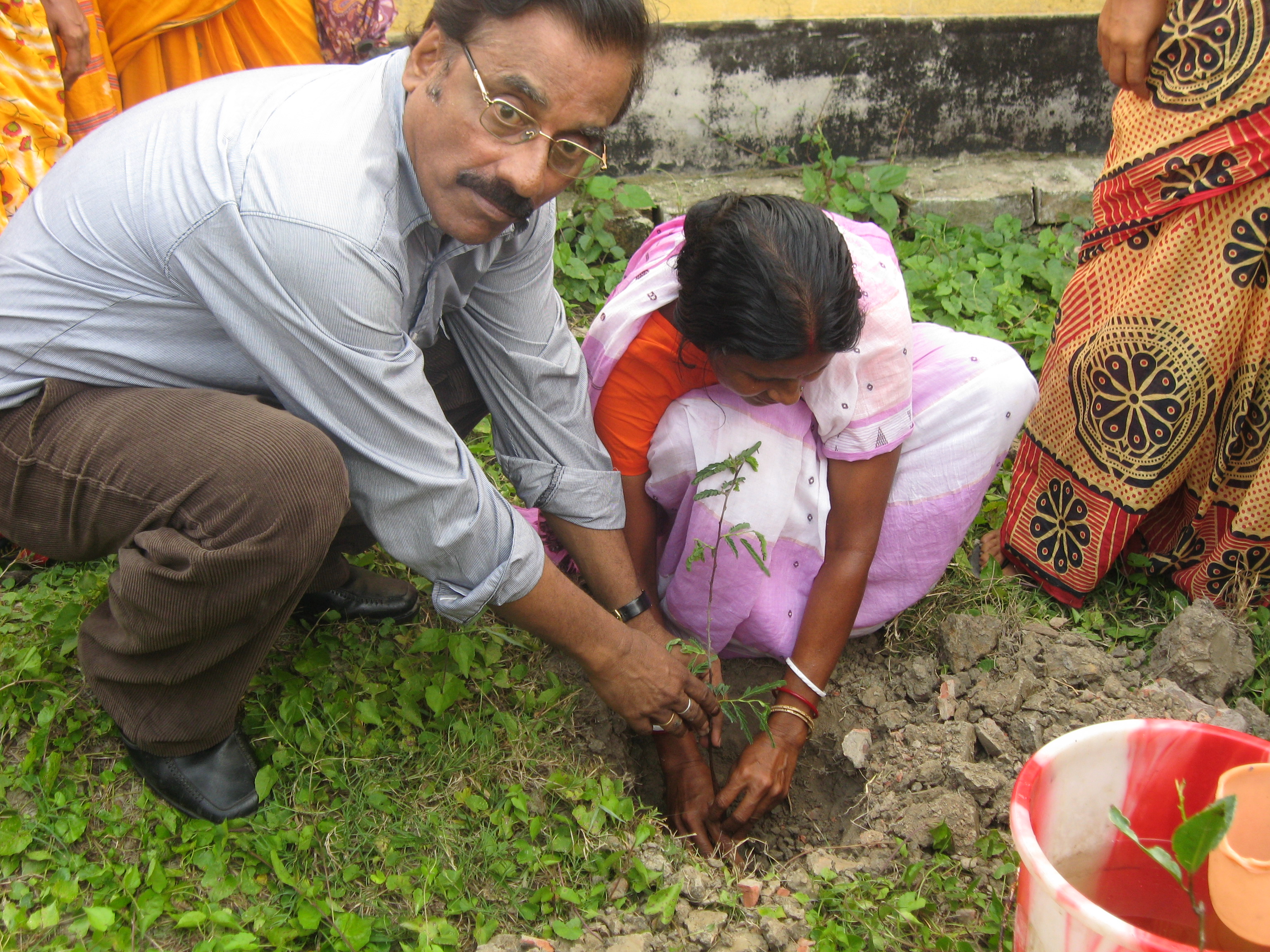 plantation-by-regional-centre-at-dhamskhali