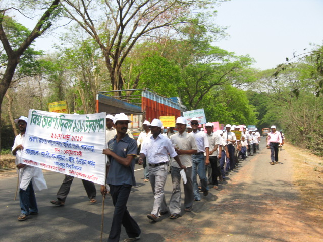 world-forestry-day-2012