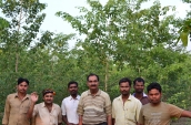 excellent-plantation-raised-and-maintained-by-amoliya-kalyanpur-jfmc-in-gumla-forest-division-jharkhand-e-ii